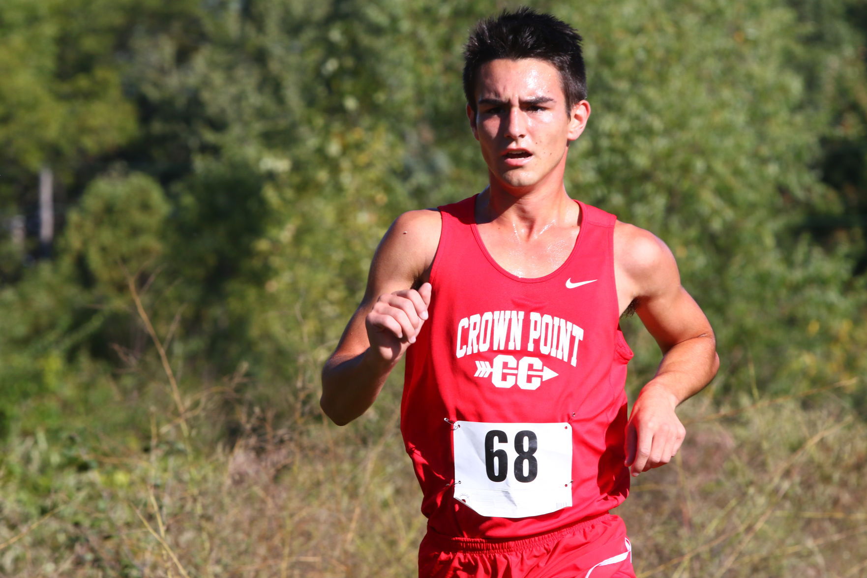 Gallery: Duneland Athletic Conference cross country meet